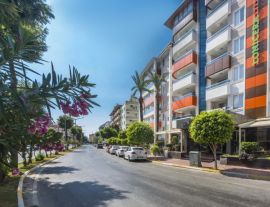 LONICERA CITY