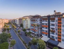 LONICERA CITY KLEOPATRA