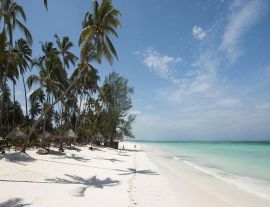 TUI Blue Bahari Zanzibar