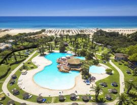 Sentido Phenicia Superior