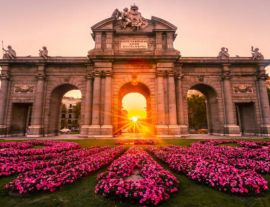 Настаняване по програмата