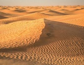 Настаняване по програмата