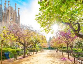 Настаняване по програмата